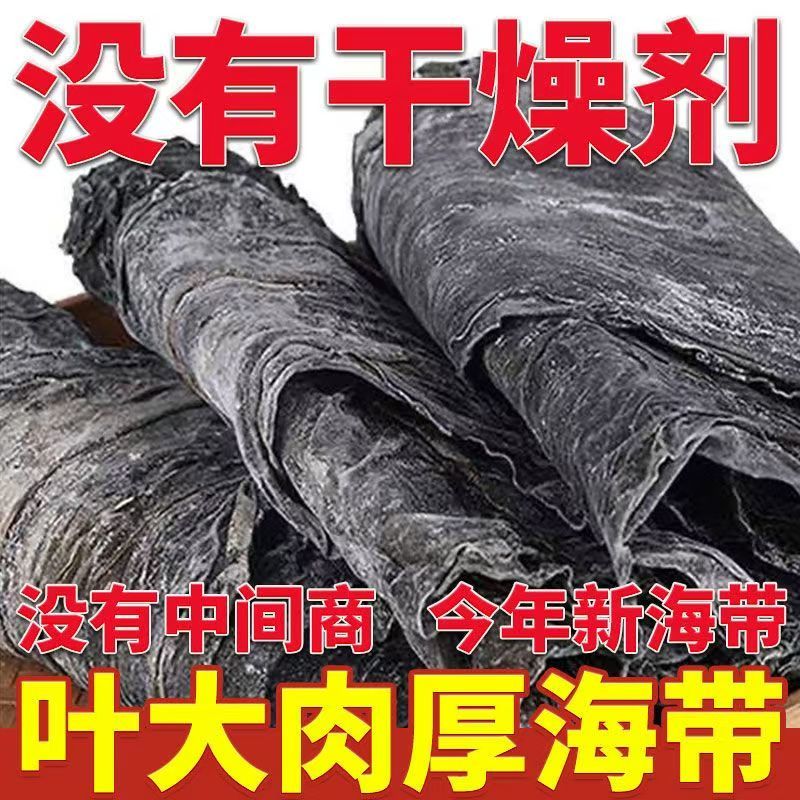 厂家直供霞浦无沙海带卷海带干货日晒厚海带干货批发整条海带