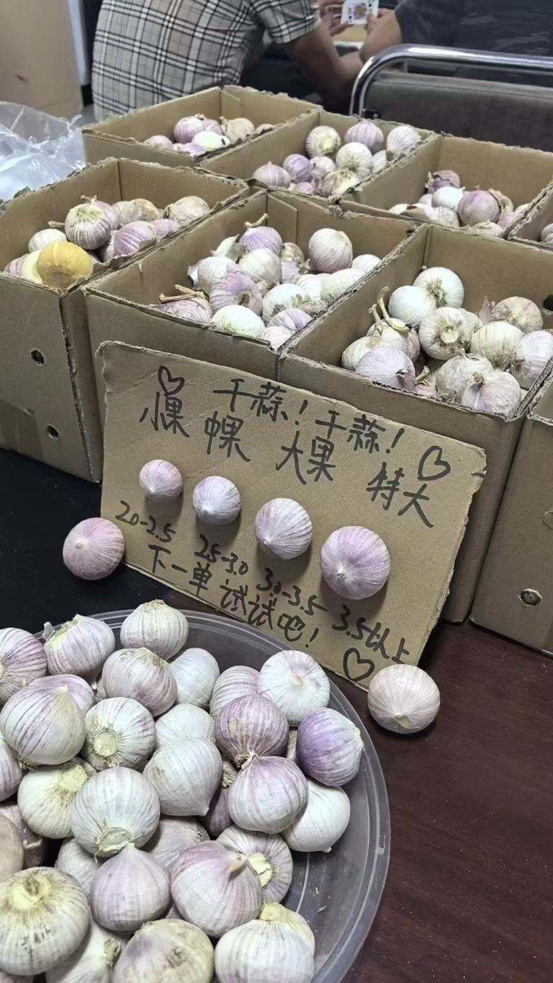【量大优惠】辽宁独头蒜品质保障对接批发电商商超