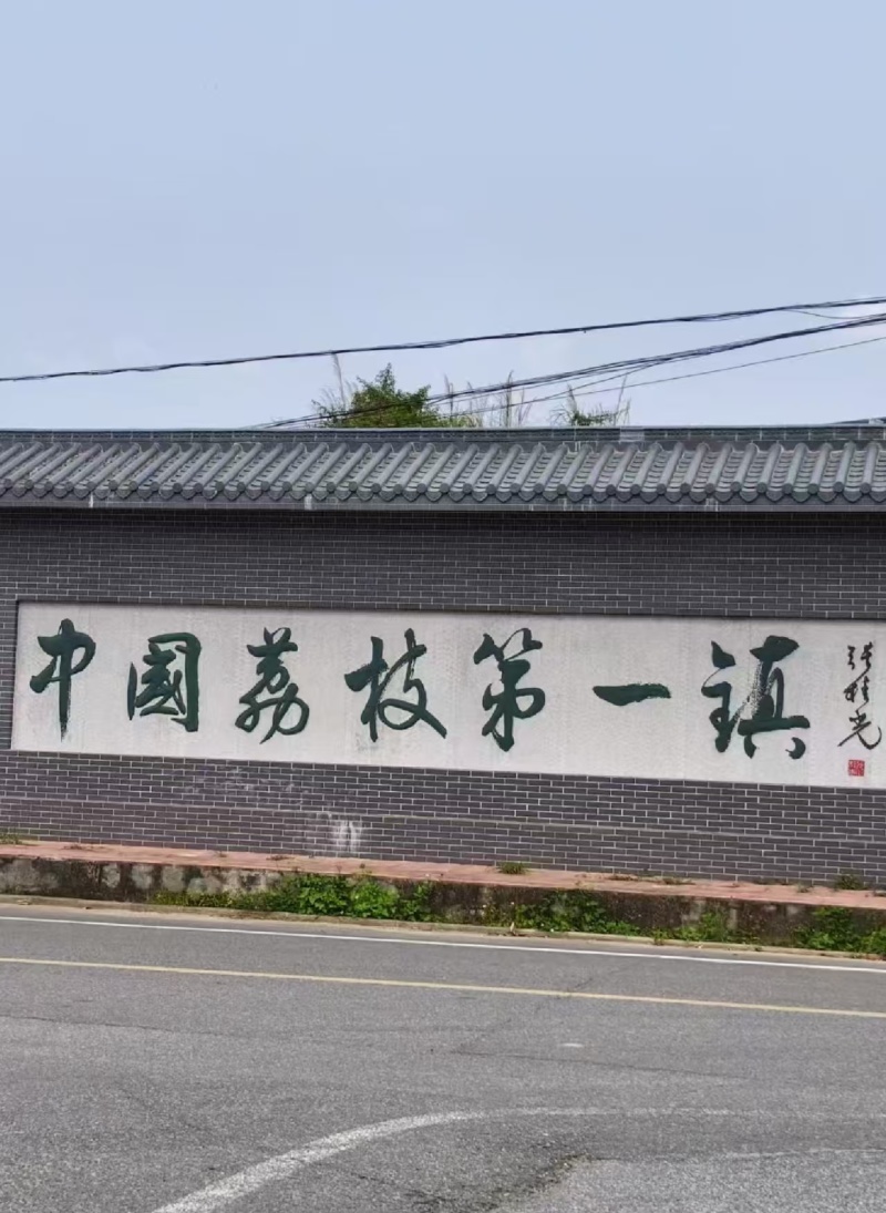 高州白糖罂荔枝，当天采摘，新鲜现发，价格实惠，量大从优