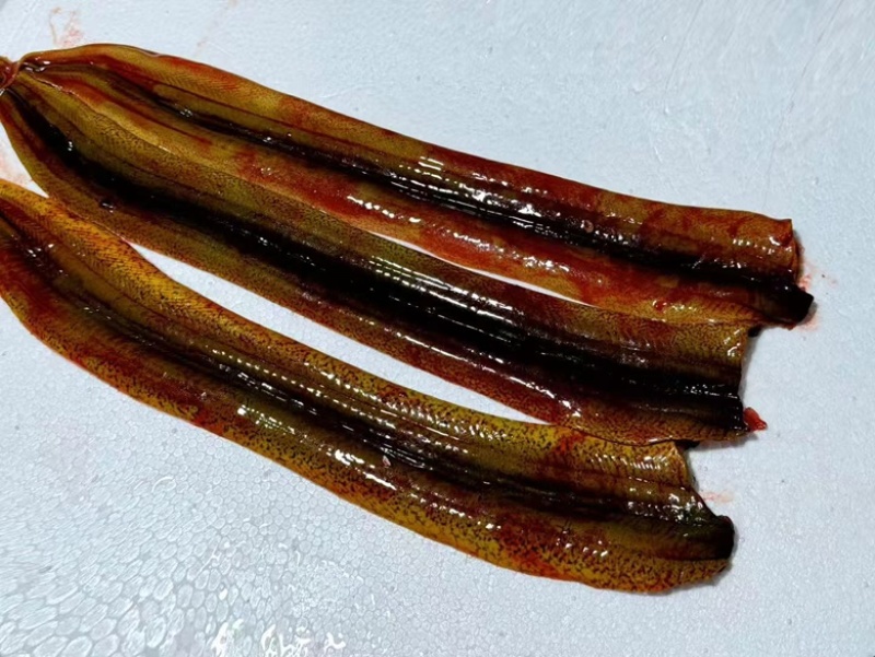 精品鳝鱼片大量供应货源充足，新鲜发货量大，从优