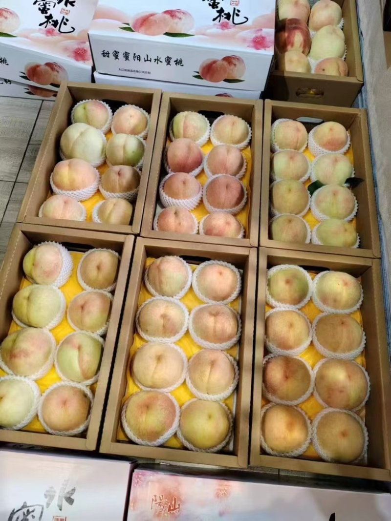阳山水蜜桃/白凤/突围基地直供可视频看货