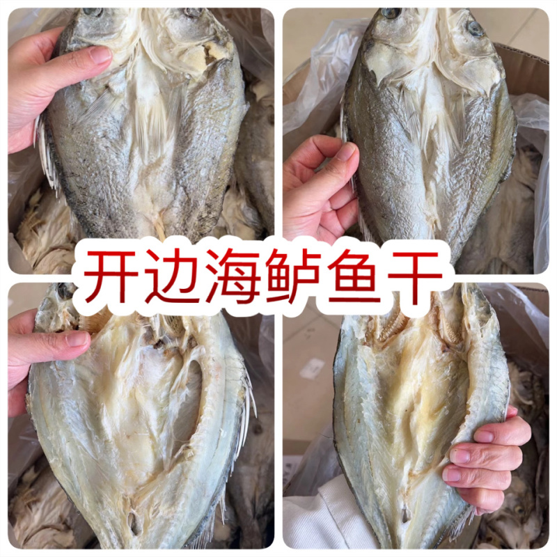 开边海鲈鱼干展会地摊电商开边海鲈鱼干鲈鱼干鱼片鱼肉鱼干