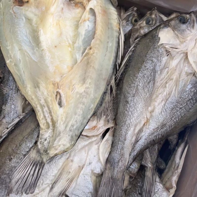 开边海鲈鱼干展会地摊电商开边海鲈鱼干鲈鱼干鱼片鱼肉鱼干