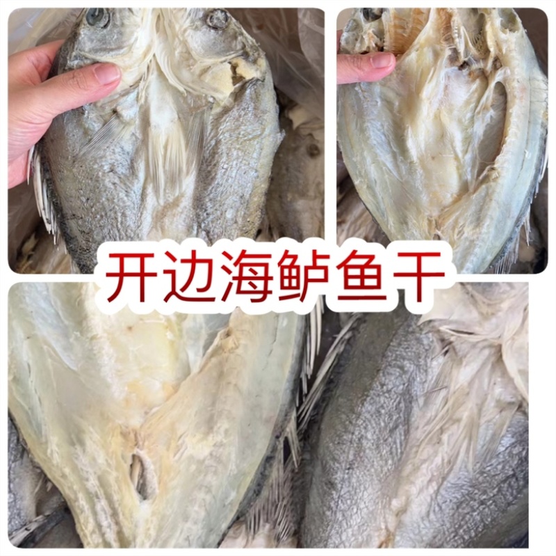 开边海鲈鱼干展会地摊电商开边海鲈鱼干鲈鱼干鱼片鱼肉鱼干