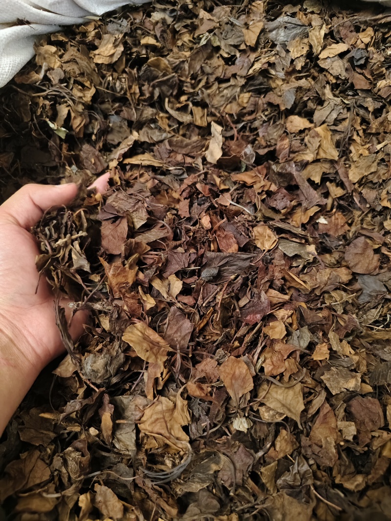 鹿衔草中药材野人工挑选干净无杂鹿含草鹿寿草散装批发