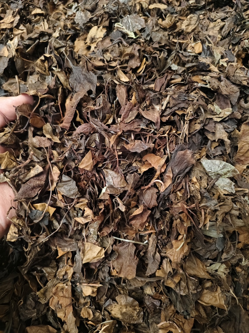 鹿衔草中药材野人工挑选干净无杂鹿含草鹿寿草散装批发