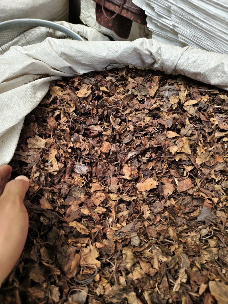 鹿衔草中药材野人工挑选干净无杂鹿含草鹿寿草散装批发
