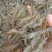 新鲜河虾3-5公分