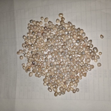 高质量淡水珍珠无硫***。