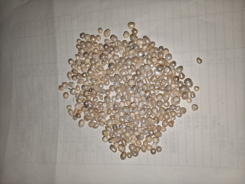高质量淡水珍珠无硫***。