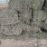 艾草河南全棵艾草大量接单产地直发量大从优欢迎来电