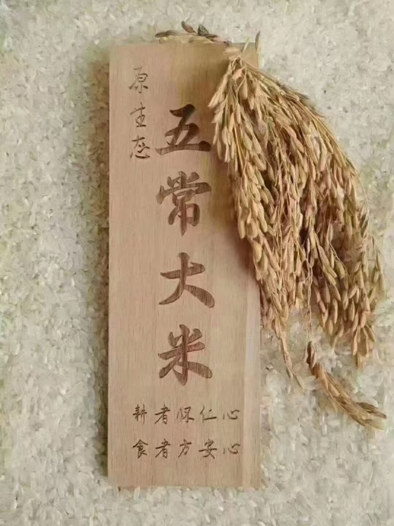 五常大米基地直发货源充足量大从优欢迎来电洽谈