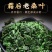 九济堂桑叶茶新鲜霜后桑叶干桑葚叶***泡茶泡水煲汤正品花草茶