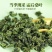 九济堂桑叶茶新鲜霜后桑叶干桑葚叶***泡茶泡水煲汤正品花草茶