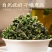 九济堂桑叶茶新鲜霜后桑叶干桑葚叶***泡茶泡水煲汤正品花草茶