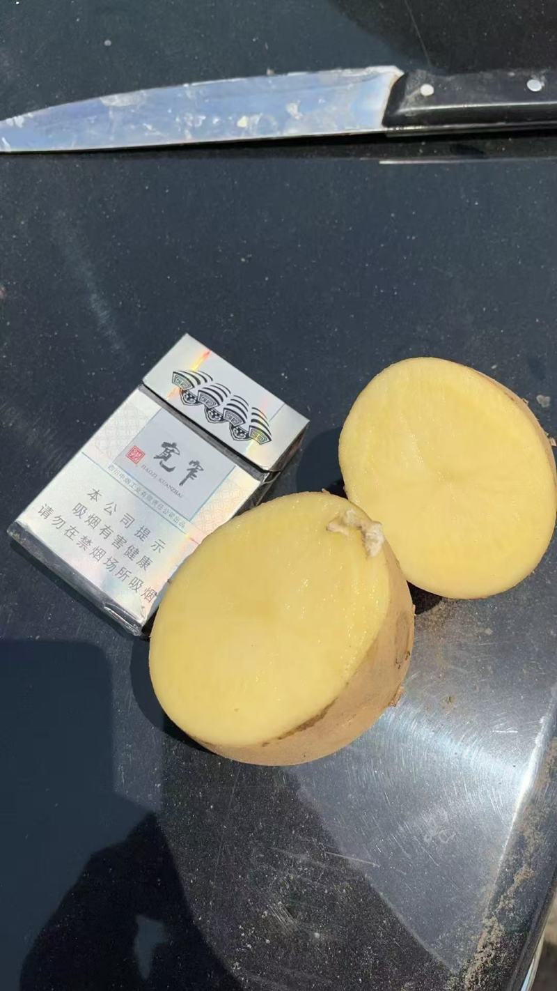 凉山汉堡。粉质品质质量个头都是精品。需要联系