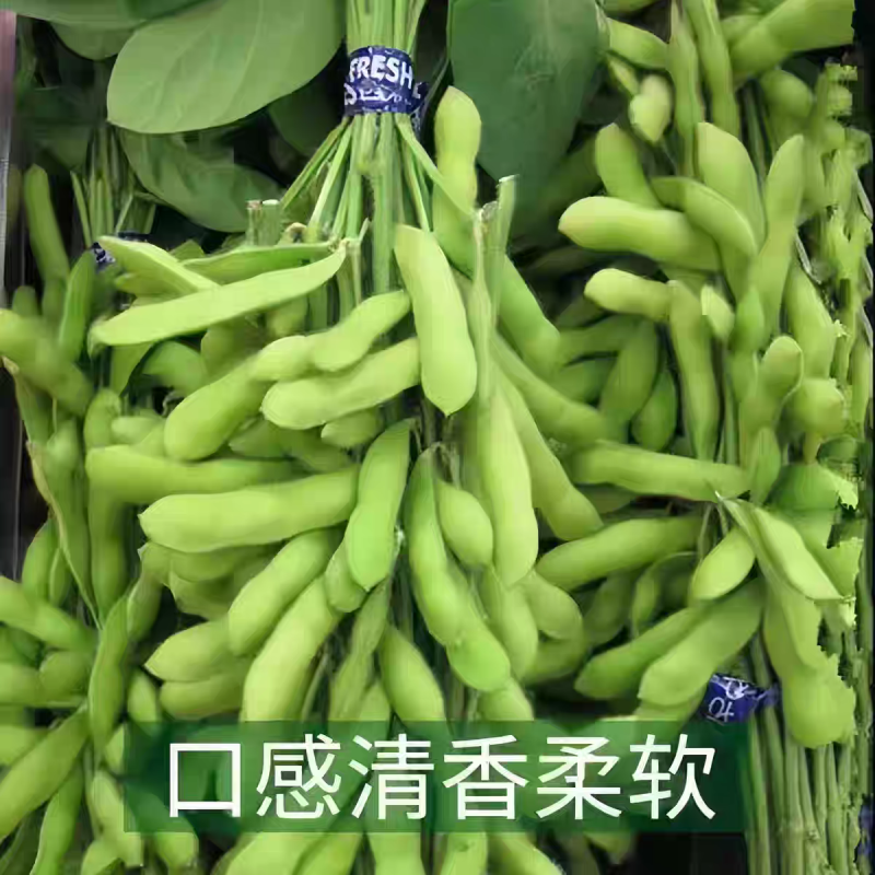 《精品毛豆》翠绿宝/毛豆侠/山东毛豆/产地货源发货原包装