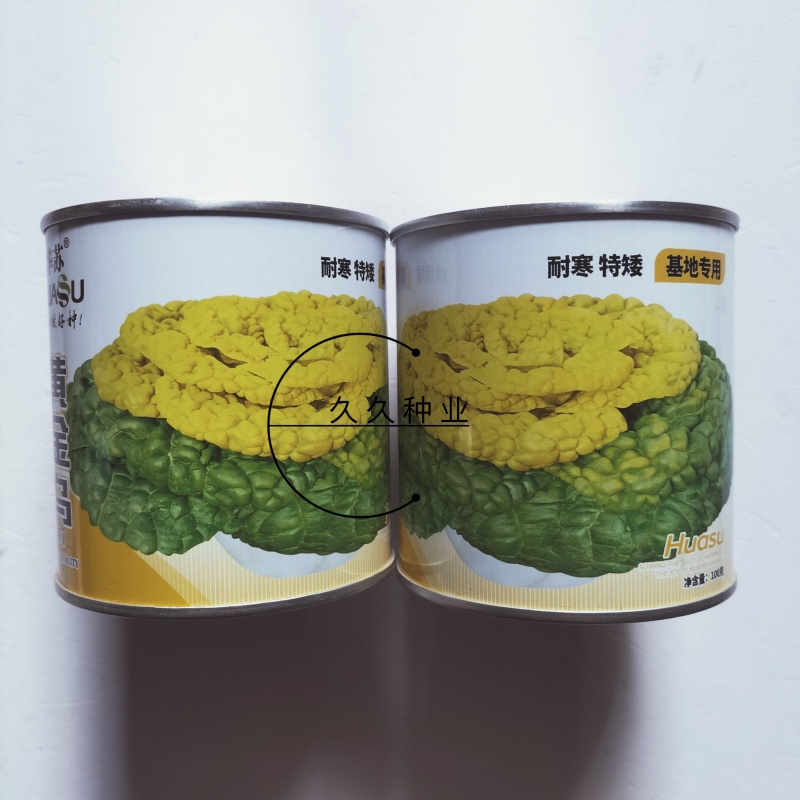 华苏黄金乌塌菜种子耐寒黄心菜种籽菊花心菜籽种易种黄心乌蔬