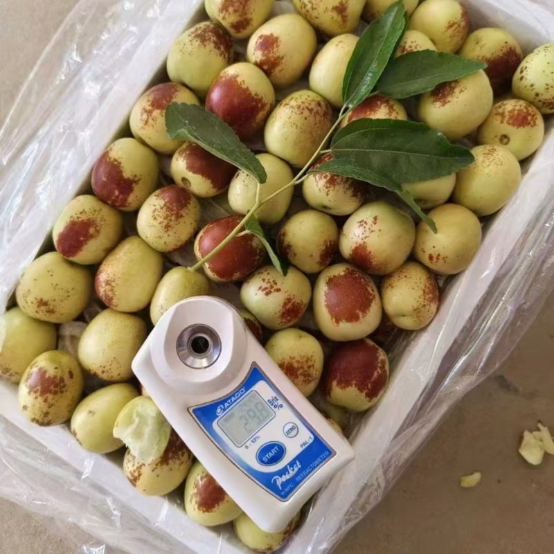 陕西精品冬枣，承接电商一件代发，社区团购，多多买菜……