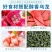 景福山乌龙茶火龙果白桃网红款冷泡冰摇DYI水果茶铁