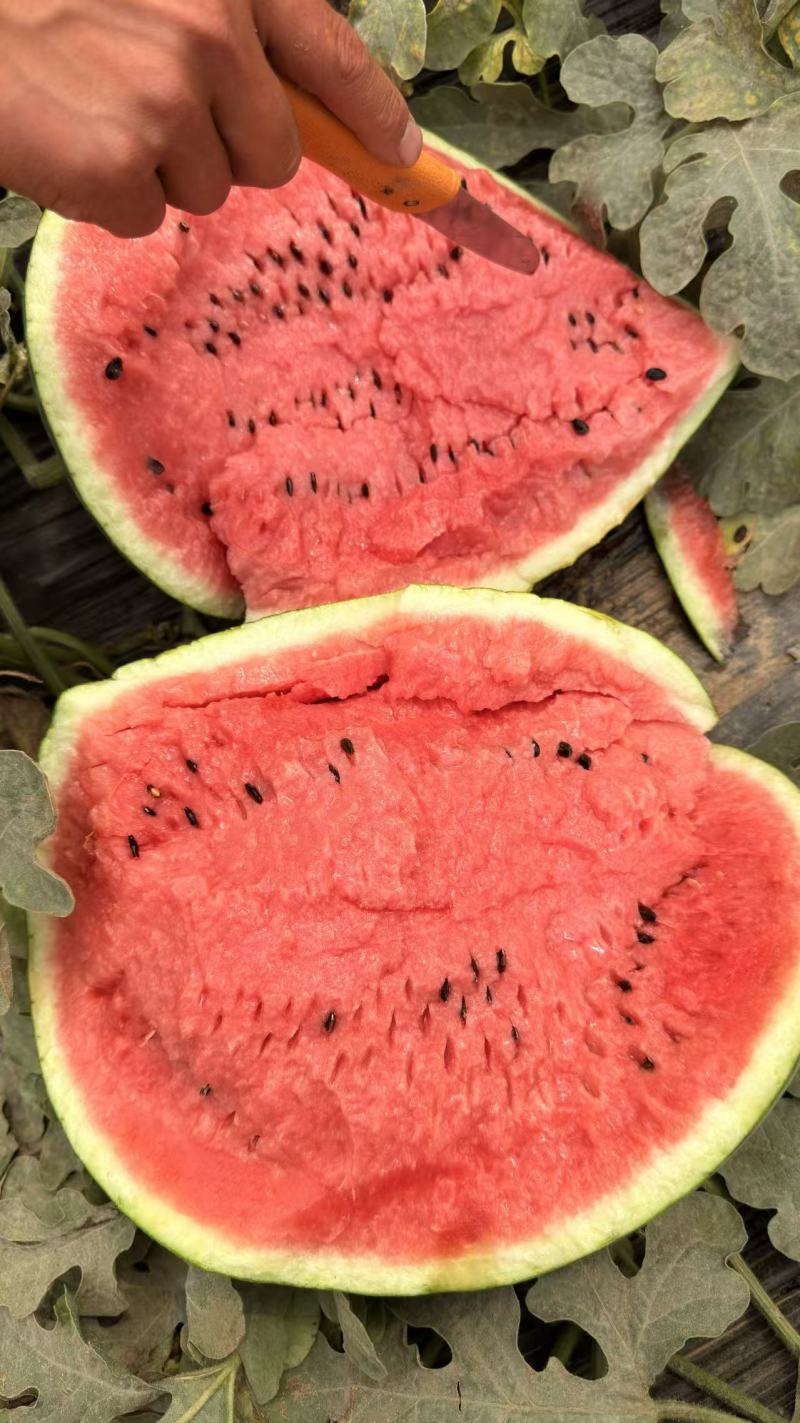陕西精品甜王12K，口感好，大量有货欢迎订购。
