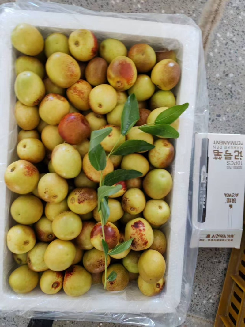 陕西精品冬枣，承接电商一件代发，社区团购，多多买菜……