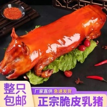 乳猪厂家直供新鲜发货量大从优欢迎咨询