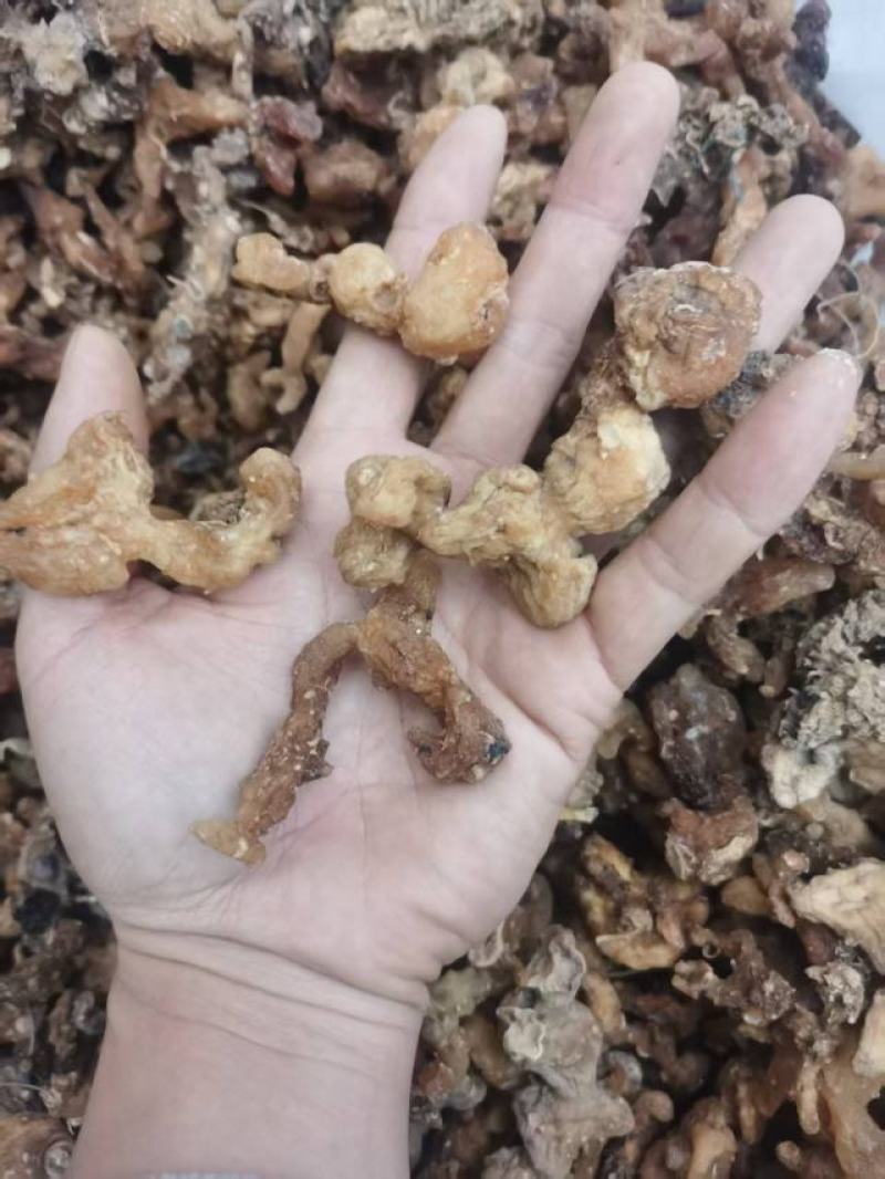 黄精干货包邮，蒸制过晒干
