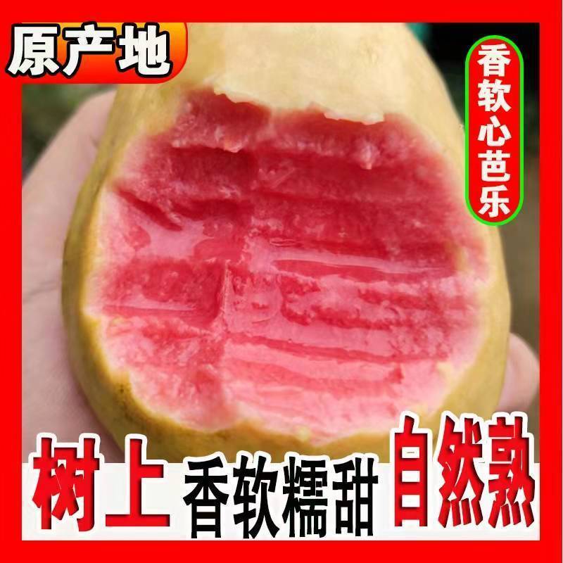 红心芭乐番石榴软糯软心新鲜应季孕妇低糖类水果红白双拼