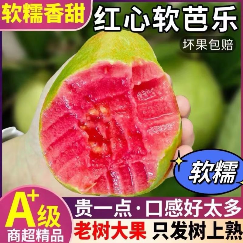 红心芭乐番石榴软糯软心新鲜应季孕妇低糖类水果红白双拼