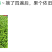豫椒968牛角椒早熟大果摘掉4茬辣椒还是很大165克重