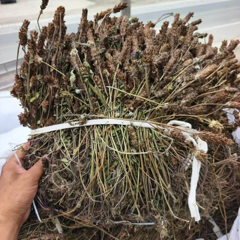 2025夏枯草全草确山夏枯草种植基地保质保量夏枯球