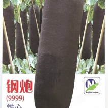 钢炮铁心9999
