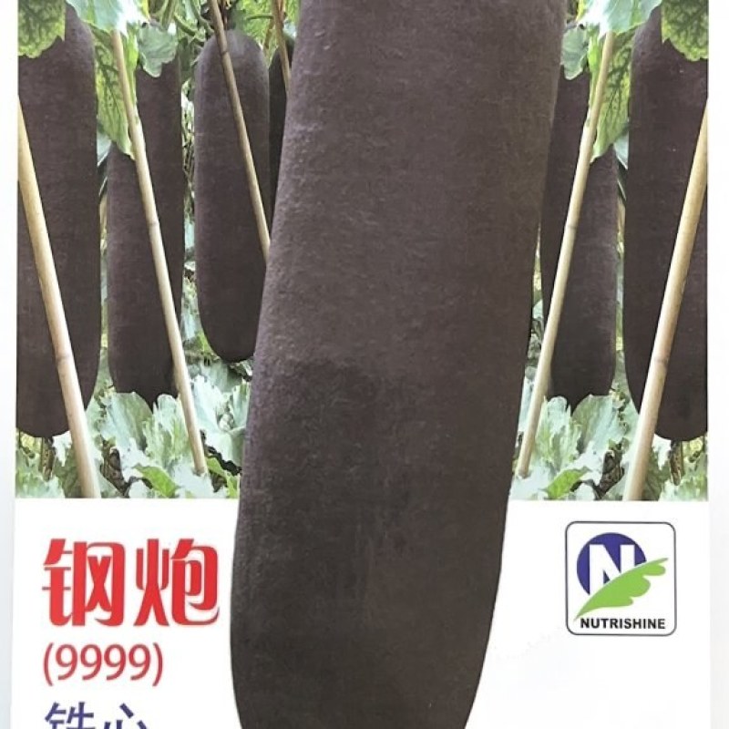 钢炮铁心9999