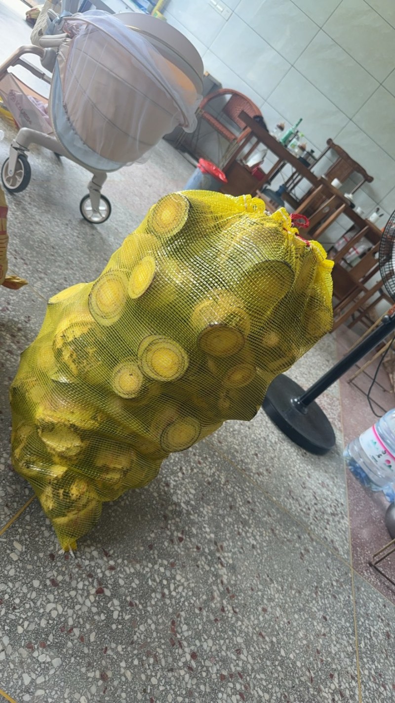 每天现挖新鲜的芋头母欢迎大家光临产地每天新鲜现发