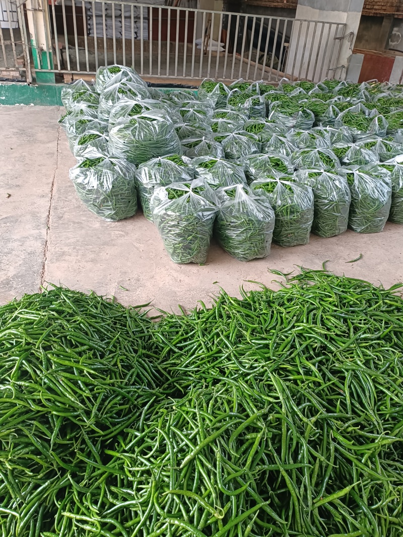 青线椒.厚皮贵些.薄皮便宜