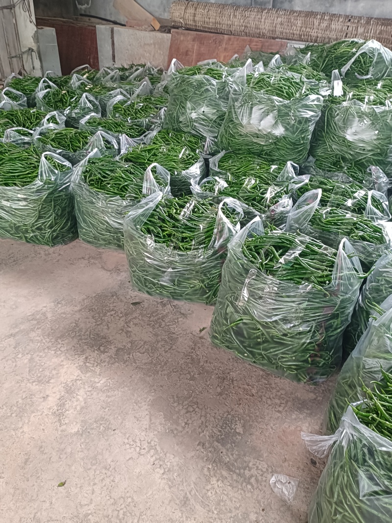 青线椒.厚皮贵些.薄皮便宜