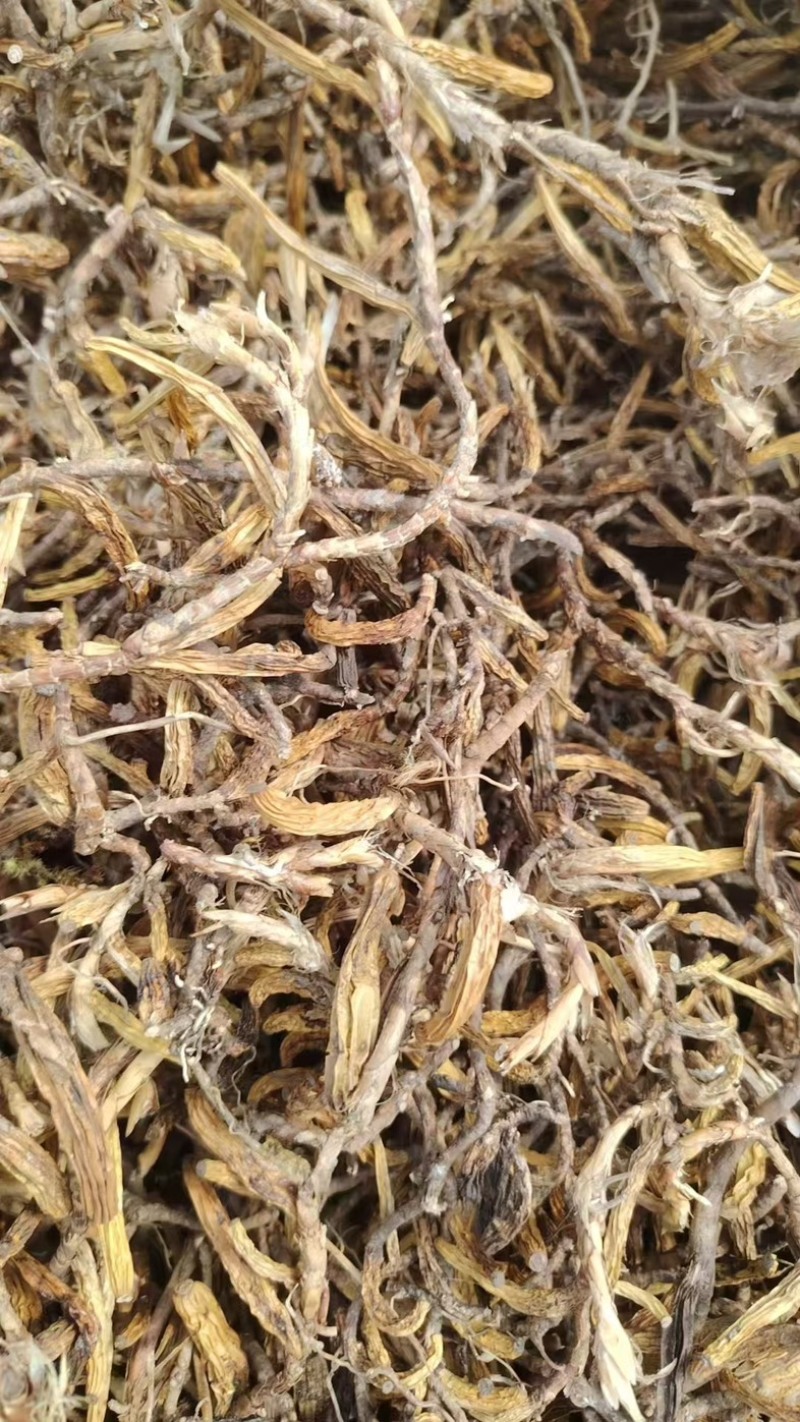 纯野生果上叶干货，石橄榄双叶大果干品，精品颜色包邮。