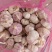 山东金乡紫皮大蒜