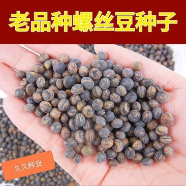 老品种螺丝黄豆种子农家自产土黄豆种子可留种传统花纹黄豆种