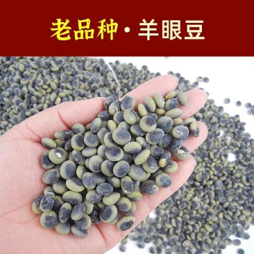 野生羊眼豆种子精选黑眼豆黑扁豆高产春秋播种保健五谷豆蔬菜