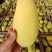 合作共赢