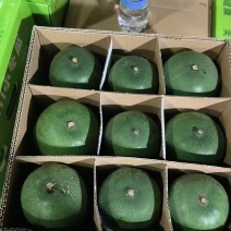 广东水果迷你小冬瓜合适电商超市