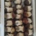 赤松茸鲜品与干品