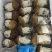 赤松茸鲜品与干品