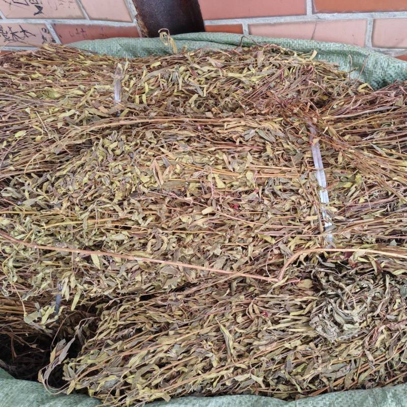 天香炉