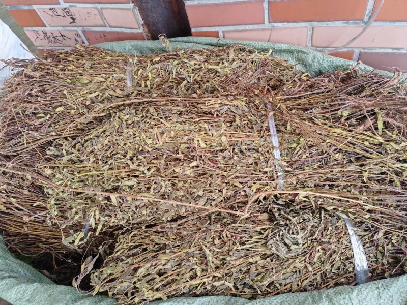 天香炉