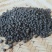 木姜子干货无硫未炼油7月上旬产新价格起批量电议留言必回