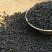 木姜子干货无硫未炼油7月上旬产新价格起批量电议留言必回