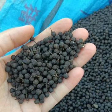 木姜子干货无硫未炼油7月上旬产新价格起批量电议留言必回